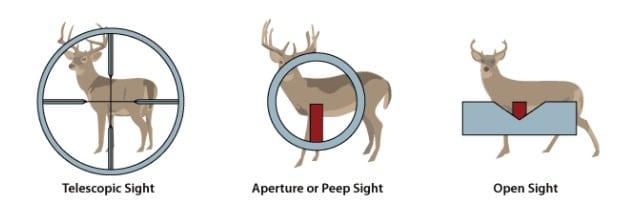 hunting deer on telescopic sight