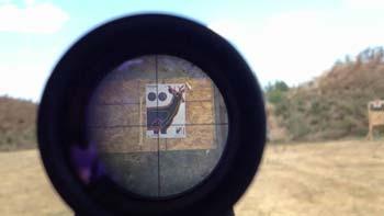 Scope magnification for 100 yards