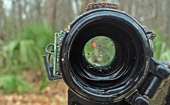 Buying Guide of Vortex Optics SPARC Red Dot Sight
