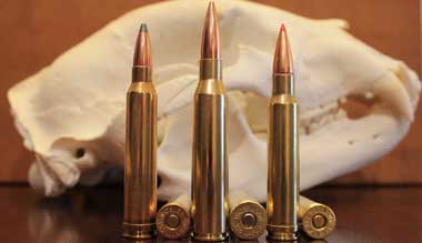 338 Norma vs 338 Lapua: Which Better For Your Gun?