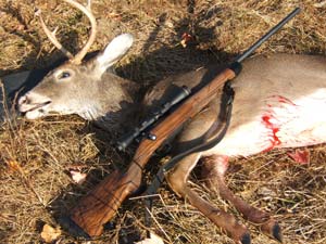 How good is a 243 for deer hunting