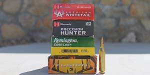 What ammo is best for deer 243