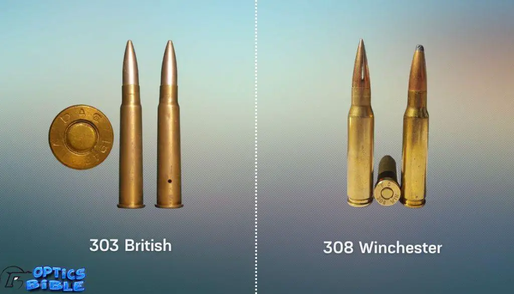 In-Depth Comparison between 303 British vs 308