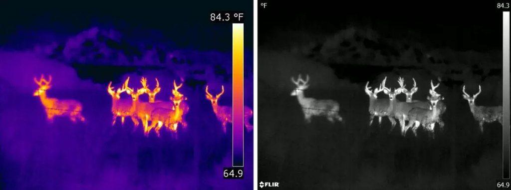 Why-Thermal-Imaging-Devices-Help-You-See-Better-In-Complete-Darkness