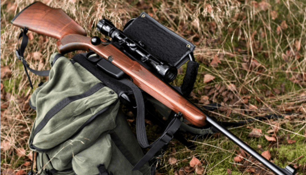 Remington Nylon 66 Serial Number Full Database Reviewed!