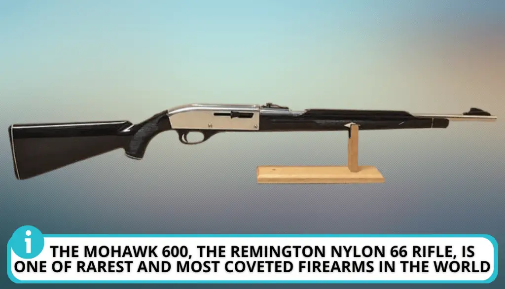 Rarest-Model-of-Remington-Nylon-66