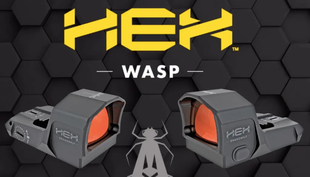 Hex Wasp Problems: 2023 Troubleshooting Guide and Best Alternatives