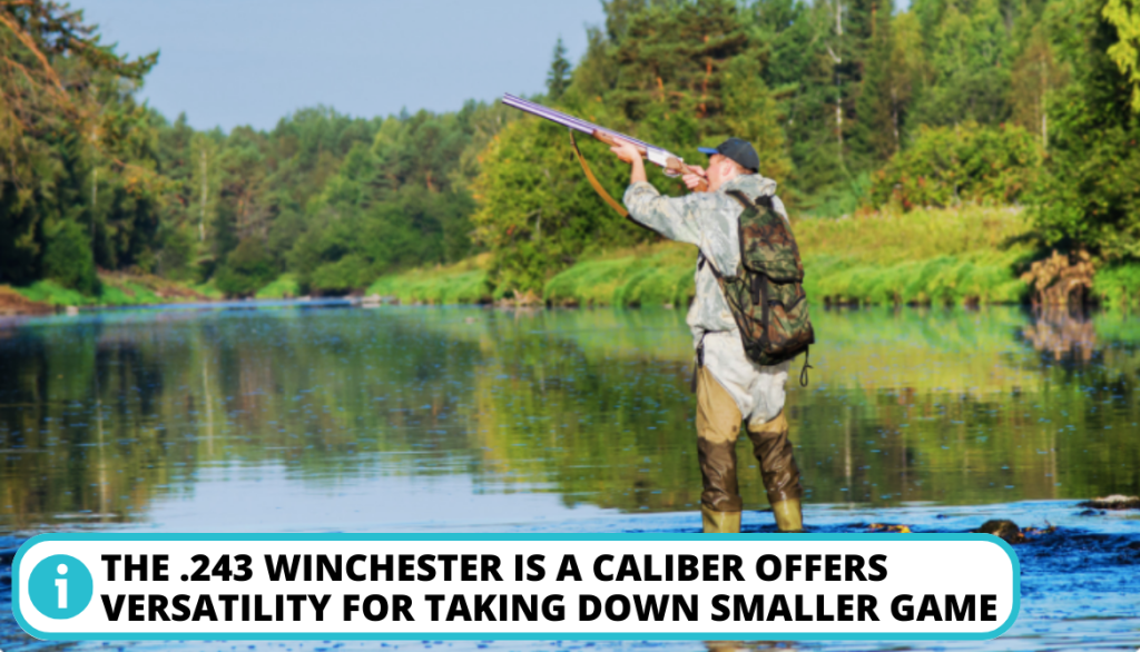 .243 Caliber: What is it Best Suited for?