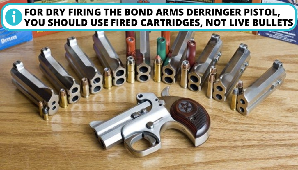 Is it Safe to Dry Fire a Bond Arms Derringer?