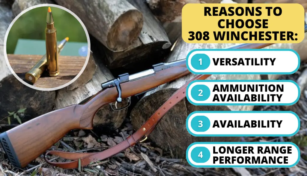 Reasons to Choose 308 Winchester